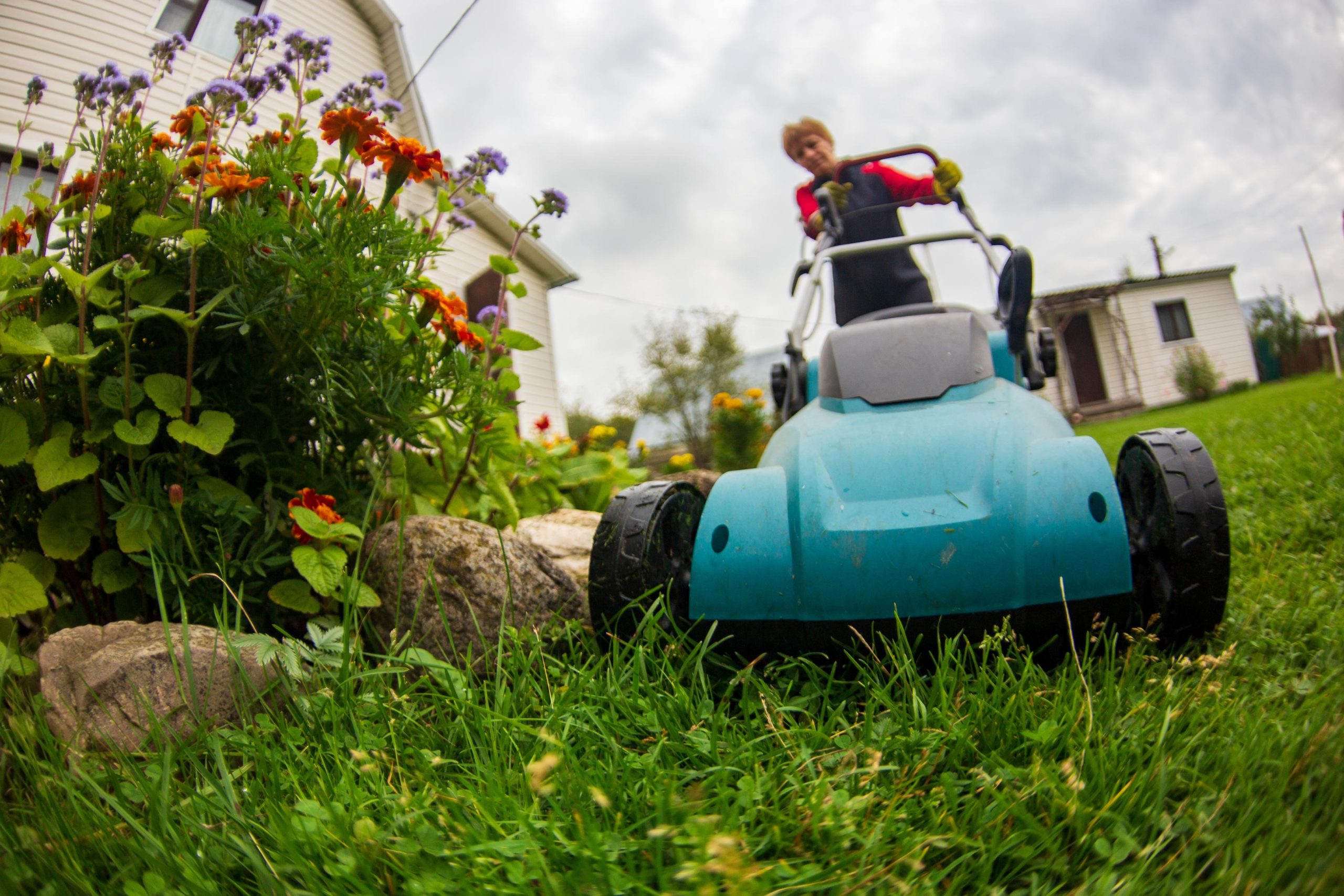 Vejos robotas ar tradicinė vejapjovė? Palyginome – rezultatas nustebins ne vieną sodininką